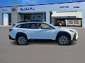 2025 Subaru Outback Limited XT
