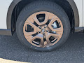2026 Subaru Ascent Limited Bronze Edition